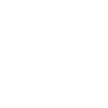 Vehicle Check