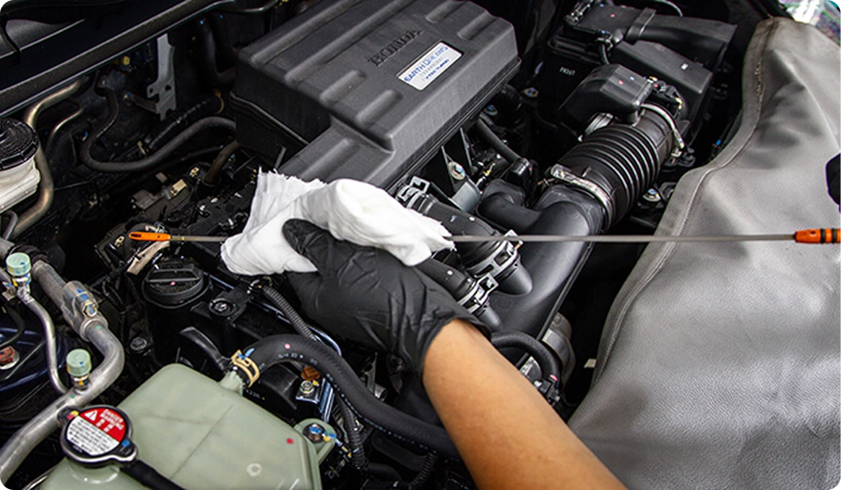 Service Maintainance